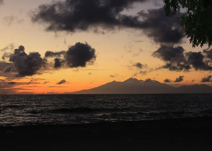 Bintang