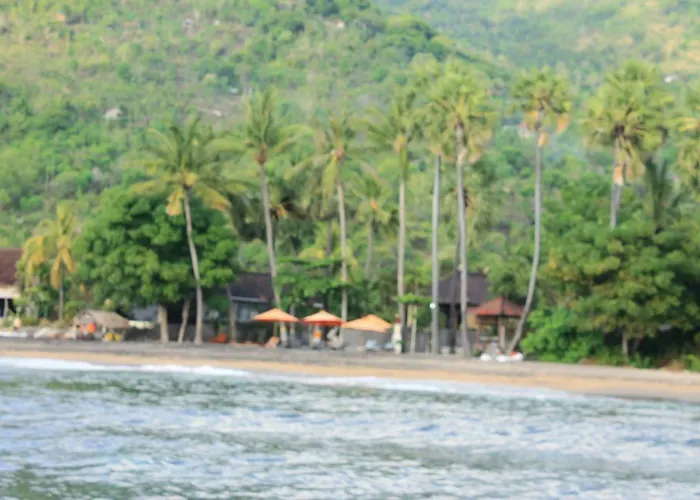 Bintang アメッド